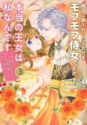 Manga Ringoku ni Koshiire shita Oujo-tsuki Mofumofu Jijo desu ga, Hontou no Oujo wa Watashi Nan desu vol.3 (隣国に輿入れした王女付きモフモフ侍女ですが、本当の王女は私なんです(3))  / Nakamura Seiko