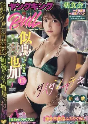 Magazine Young King BULL (ヤングキングBULL 2024年12月8日号) 