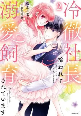 Manga Reitetsu Shachou ni Hirowarete Dekiai Shiikusareteimasu vol.2 (冷徹社長に拾われて溺愛飼育されています 2 (ASTRO COMICS)) 