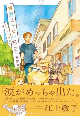 Manga Tokubetsu ja nai Hi (Ina Soraho) (特別じゃない日　はたらく理由)  / Ina Soraho