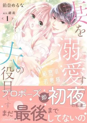 Manga Himitsu no Wakaokusama vol.1 (秘密の若奥様　妻を溺愛するのは夫の役目です １ (ルネッタコミックス))  / 飴奈 めるな