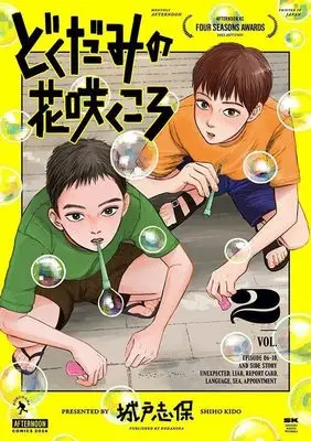 Manga Dokudami no Hana Saku Koro vol.2 (どくだみの花咲くころ(2) (アフタヌーンKC))  / Kido Shiho