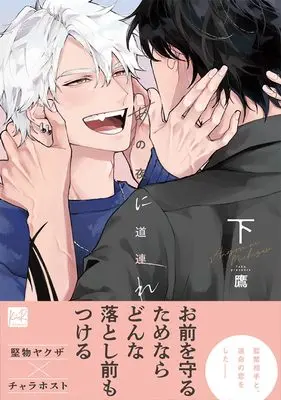 Manga Ano Yoru ni Michizure vol.2 (あの夜に道連れ 下 (KiR comics))  / 鷹