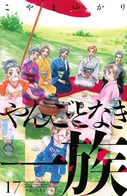 Manga Yangoto naki Ichizoku vol.17 (やんごとなき一族(17) (KC KISS))  / Koyama Yukari