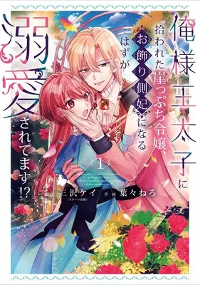 Manga Ore-sama Outaishi ni Hirowareta Gakeppuchi Reijou, Okazari Sokuhi ni Naru... Hazu ga Dekiaisaretemasu! vol.1 (俺様王太子に拾われた崖っぷち令嬢、お飾り側妃になる…はずが溺愛されています!? 1 (1) (プリンセス・コミックス プチプリ))  / Haba Nero & Misawa Kei