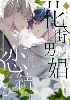Manga Hanamachi Danshou Koimusubi vol.3 (花街男娼恋結び 3 (クリエコミックス))  / もちた