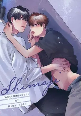 Manga Midara na Neko wa Mitsu wo Nedaru (みだらな猫は蜜をねだる第1話ネーム小冊子 / 嶋二)  / Shimaji