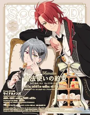 Magazine spoon.2Di (spoon.2Di vol.117) 