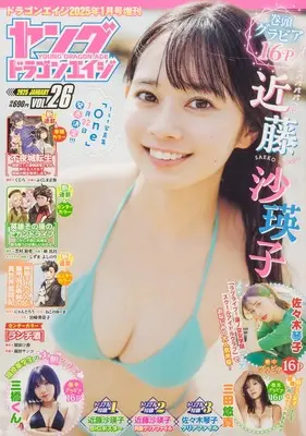 Magazine Young Dragon Age (ドラゴンエイジ2025年1月号増刊 ヤングドラゴンエイジ VOL.26) 