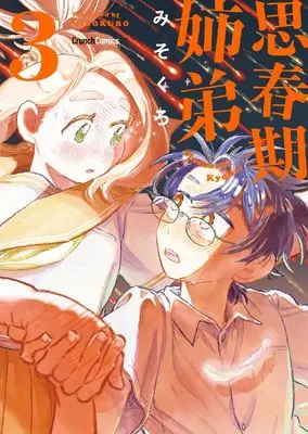 Manga Shishunki Kyoudai vol.3 (思春期姉弟 3巻(完) (クランチコミックス))  / Misokuro
