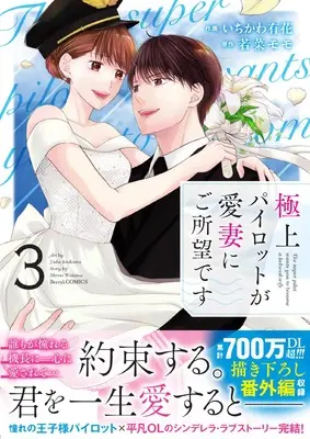 Manga Gokujou Pilot ga Aisai ni Goshomoudesu vol.3 (極上パイロットが愛妻にご所望です 3) 