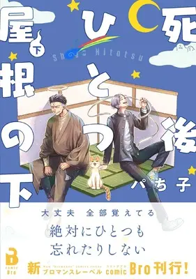 Manga Shigo Hitotsu Yane no Shita vol.2 (死後ひとつ屋根の下 (下巻) (comic Bro))  / Pachiko