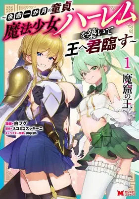 Manga Makutsu no Ou vol.1 (魔窟の王~余命一か月の童貞、魔法少女ハーレムを築いて王へ君臨す~ (1) (モンスターコミックス))  / 白フグ