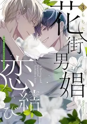Manga Set Hanamachi Danshou Koimusubi (3) (花街男娼恋結び　コミック　1-3巻セット (オーバーラップ))  / もちた