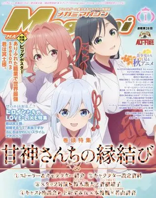 Magazine Megami Magazine (Megami MAGAZINE 2025年 01 月号 [雑誌]) 