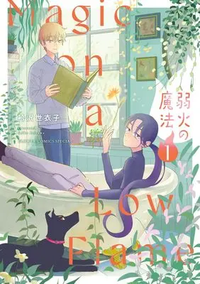 Manga Yowabi no Mahou vol.1 (弱火の魔法(1): フラワーコミックス〔スペシャル〕)  / Erisawa Seiko