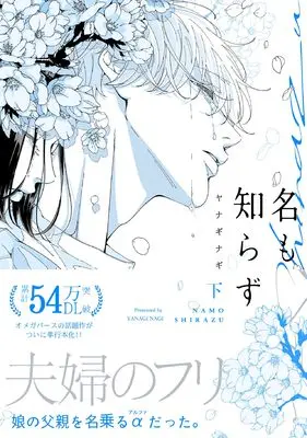 Manga Na mo Shirazu vol.2 (名も知らず 下)  / Yanagi Nagi