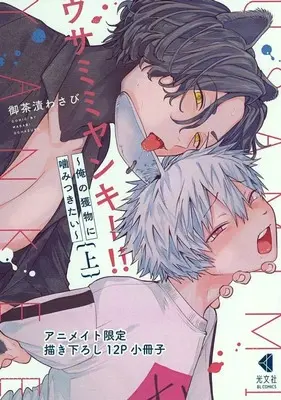 Manga appendix Usamimi Yankee!! - Ore no Emono ni Kamitsukitai (【小冊子】ウサミミヤンキー!!(上) 俺の獲物に噛みつきたい アニメイト限定 描き下ろし12P小冊子)  / Ochazuke Wasabi