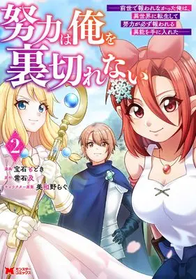 Manga Doryoku wa Ore wo Uragirenai vol.2 (努力は俺を裏切れない―前世で報われなかった俺は、異世界に転生して努力が必ず報われる異能を手に入れた― (2) (モンスターコミックス))  / 宝石もどき