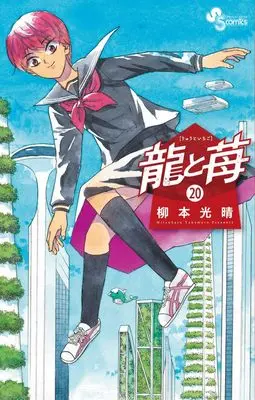 Manga Ryuu to Ichigo vol.20 (龍と苺 (20))  / Yanamoto Mitsuharu