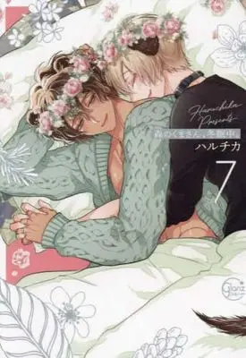 Manga Set Mori no Kuma-san Touminchu (7) (森のくまさん、冬眠中。　コミック　全7巻セット (彗星社))  / Haruchika