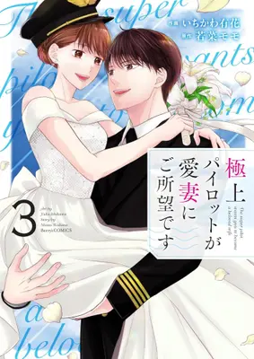 Manga Set Gokujou Pilot ga Aisai ni Goshomoudesu (Vol.1-3) (極上パイロットが愛妻にご所望です)  / Ichikawa Yuka