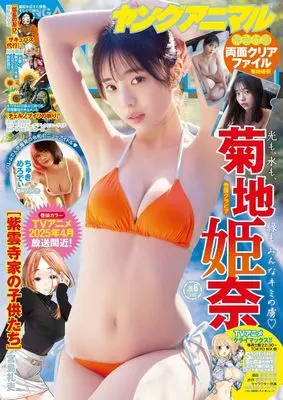 Magazine Young Animal (ヤングアニマル (6号)) 