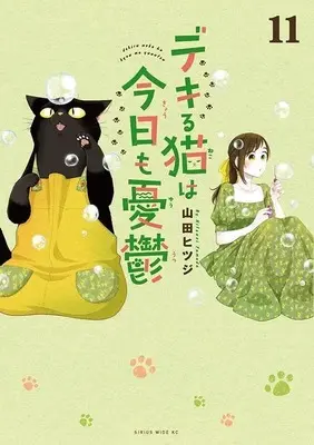 Manga Dekiru Neko wa Kyou mo Yuuutsu vol.11 (デキる猫は今日も憂鬱(11) (ワイドKC))  / Yamada Hitsuji