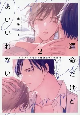 Manga appendix Unmeidakedo Ai Irenai vol.2 (【小冊子】運命だけどあいいれない(2)アニメイトセット特典小冊子)  / 永条エイ