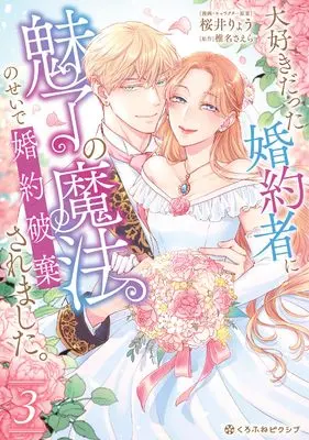 Manga Daisuki Datta Konyakusha ni Miryou no Mahou no Sei de Konyaku Hakisaremashita. vol.3 (大好きだった婚約者に魅了の魔法のせいで婚約破棄されました。 (3)) 