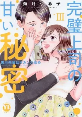 Manga Kanpeki Joushi no Amai Himitsu vol.3 (完璧上司の甘い秘密 黒川先輩はオカン力高め(3))  / 海月うる子