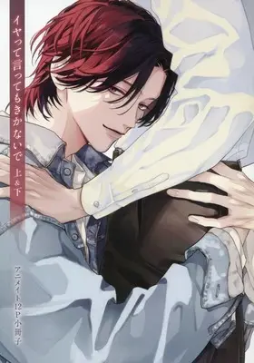 Manga appendix Iyatte Itte mo Kikanaide (【小冊子】イヤって言ってもきかないで 上&下 アニメイト12P特典小冊子)  / 宇良たまじ