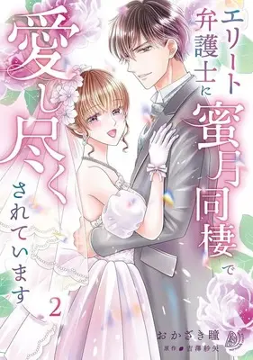 Manga Elite Bengoshi ni Mitsugetsu Dousei de Aishi Tsukusareteimasu vol.2 (エリート弁護士に蜜月同棲で愛し尽くされています(2))  / Okazaki Hitomi