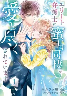 Manga Elite Bengoshi ni Mitsugetsu Dousei de Aishi Tsukusareteimasu vol.1 (エリート弁護士に蜜月同棲で愛し尽くされています(1))  / Okazaki Hitomi