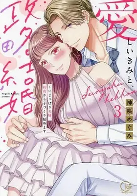 Manga Complete Set Itoshii Kimi to, Seiryaku Kekkon - Ijippari Fuufu, Shoya kara Kozukuri Hajimemasu (3) (愛しいきみと、政略結婚～いじっぱり夫婦、初夜から子づくり始めます 全3巻セット)  / Kanzaki Megumi