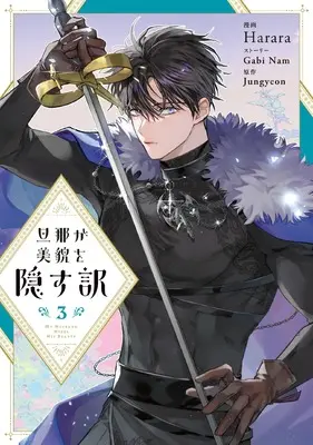 Manga My Secretly Hot Husband vol.3 (旦那が美貌を隠す訳 3 (フロース コミック))  / Harara & Gabi Nam