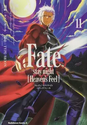 Manga Set Fate/stay night: Heaven's Feel (11) (★未完)Fate/Stay night Heaven's Feel 1～11巻セット)  / Task Ohna