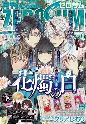 Magazine Comic ZEROSUM (コミックZERO-SUM2025年6月号) 