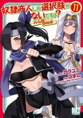Manga Dorei Shounin Shika Sentakushi ga Nai Desu yo? - Harem? Nani Sore Oishii no? vol.11 (奴隷商人しか選択肢がないですよ?: ~ハーレム?なにそれおいしいの?~ (11) (バーズコミックス))  / Gomashi & Kara Yumi & neropaso