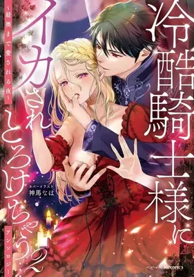 Manga Reikoku Kishisama ni Ikasare Torokechau Anthology vol.2 (冷酷騎士様にイカされとろけちゃう…アンソロジー ～最奥まで愛される夜～(2))  / Anthology