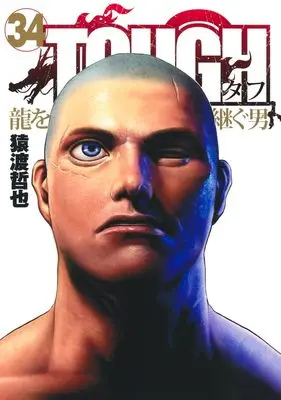 Manga Tough: Ryuu wo Tsugu Otoko vol.34 (TOUGH 龍を継ぐ男 34 (ヤングジャンプコミックス))  / Saruwatari Tetsuya