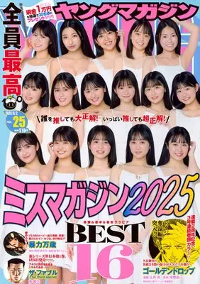 Magazine Young Magazine (ヤングマガジン (2025年06月02日号)) 