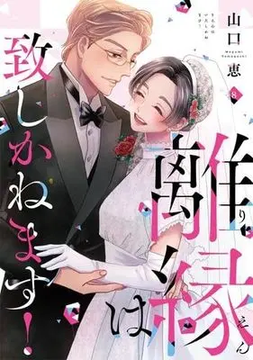 Manga Set Rien wa Itashi Kanemasu! (8) (離縁は致しかねます!　コミック　全8巻セット (大誠社))  / Yamaguchi Megumi