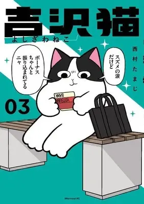 Manga Yoshizawa Neko vol.3 (吉沢猫(3) (アフタヌーンKC))  / Nishimura Tamaji