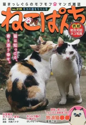 Manga Neko Panch (ねこぱんち ネコの目キラリ☆号 (にゃんCOMI))  / Anthology