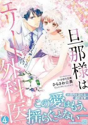 Manga Danna-sama wa Elite Gekai - Karisome Fuufu na no ni Dekiaisaretemasu vol.164 (旦那様はエリート外科医~かりそめ夫婦なのに溺愛されてます~4 (マーマレードコミックス, CMMBL164))  / ひらさわ公美