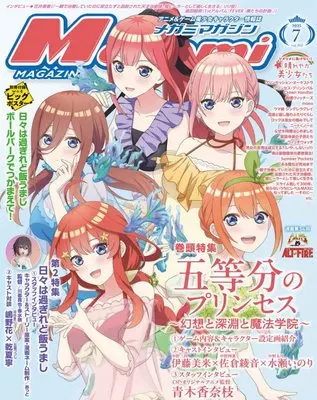 Magazine Megami Magazine (Megami MAGAZINE 2025年 07 月号 [雑誌]) 