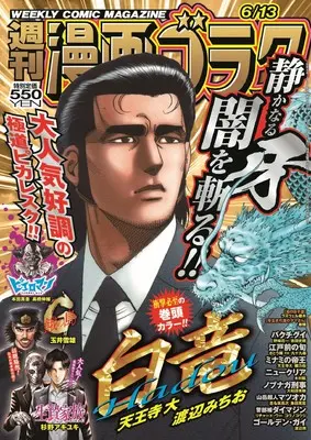 Magazine Manga Goraku (週刊漫画ゴラク (6月13日号 No.2952)) 