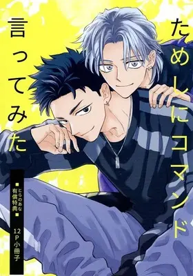 Manga appendix Tameshi ni Command Ittemita vol.2 (【小冊子】ためしにコマンド言ってみた(2) とらのあな有償特典12P小冊子)  / Yukue Moegi