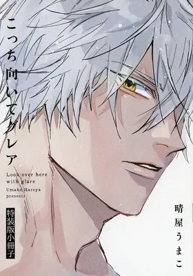 Manga appendix Kocchi Muite Glare (こっち向いてグレア 特装版小冊子)  / Yareya Umako